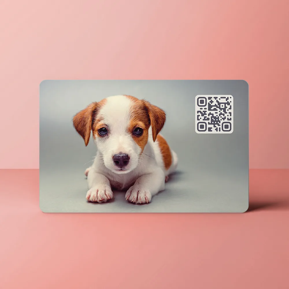 Dogs achter jpg